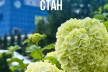 Радіаційний стан навколо Хмельницької АЕС в межах норми