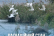 Радіаційний стан навколо Хмельницької АЕС в межах норми