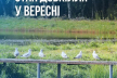 Якість води у водоймі-охолоджувачі Хмельницької АЕС у вересні залишалася стабільно високою