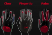 Palm vs claw vs fingertip: як хват формує стиль гри