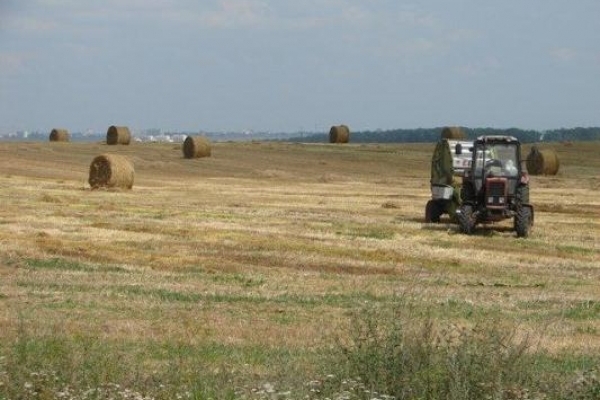 Аграрний штаб вирішив прискорити розпаювання землі ДП «Шубківське» 