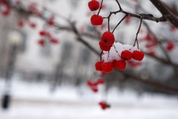 Sinoptik: Погода в Рівному та Рівненській області на середу, 20 грудня
