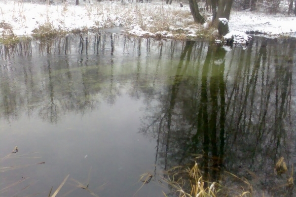 У Радивилівському районі людям вдалося повернути у власність держави землі водного фонду