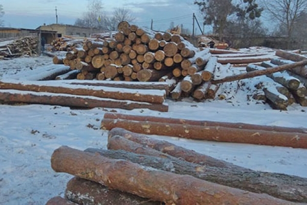 200 кубометрів нелегальної лісодеревини вилучили на Рівненщині
