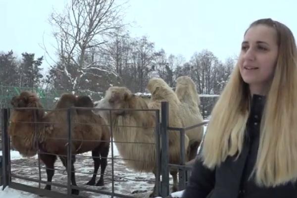 Рівненський зоопарк у День Святого Валентина здивував відвідувачів (Відео)