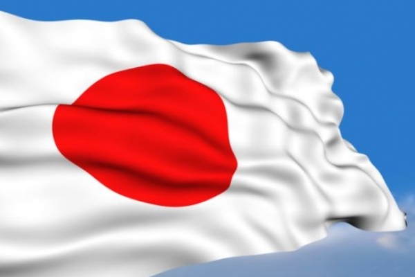 Дубно отримає грантові кошти від Японії (Відео)