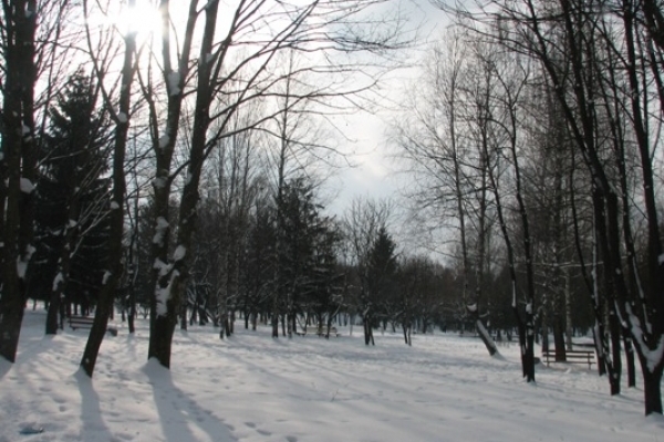 Sinoptik: Погода в Рівному та Рівненській області на вівторок, 27 лютого