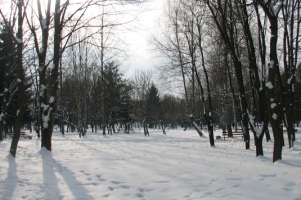 Sinoptik: Погода в Рівному та Рівненській області на вівторок, 6 березня