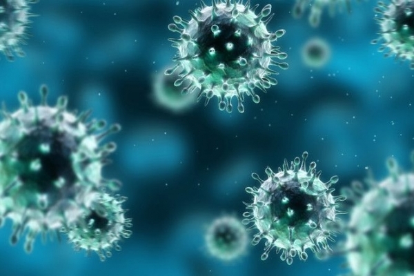 На Рівненщині у 16 із 58 осіб, хворих на грип та ГРІ, виявили нуклеїнову кислоту вірусу грипу типу В