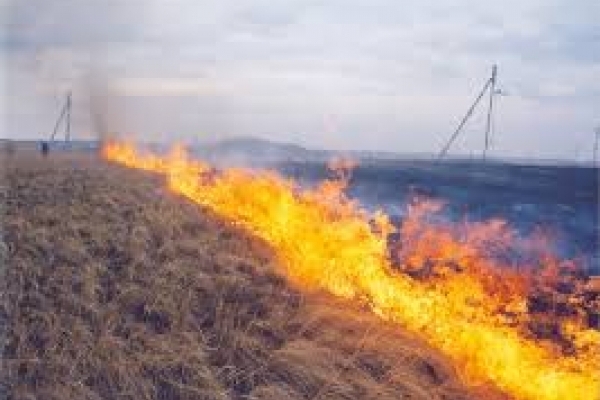Рівненські рятувальники попереджають про небезпеку під час спалювання сухої трави 