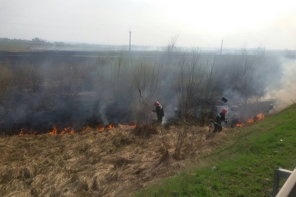 Рівненщина у вогні: згорів ще майже гектар сухої трави (Фото)