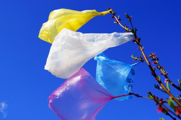 У Рівному хочуть заборонити пластикові пакети