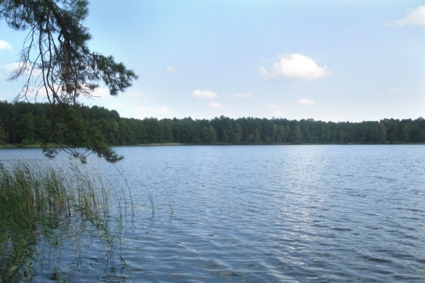 Проект «Ukraїner» опублікував відео про найбільше озеро Рівненщини (ВІДЕО)