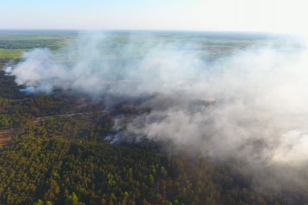 На Поліссі квадрокоптер зафіксував масштабну пожежу в лісі (Відео)