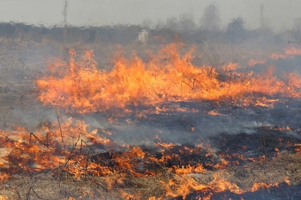 На Рівненщині попереджають про небезпеку пожеж