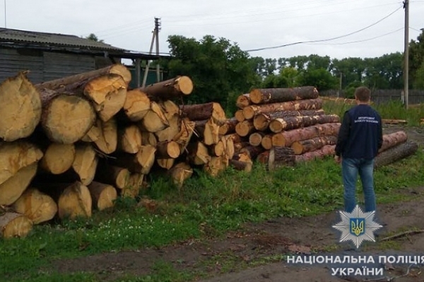 На Рівненщині поліцейські вилучили лісопродукцію сумнівного походження на 700 тисяч гривень