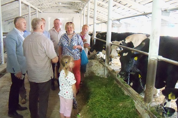 На Рівненщині розпочала роботу вже друга сімейна молочна ферма (Фото)