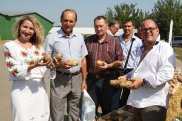 На Млинівщині у картопляному бізнесі виживають найстійкіші