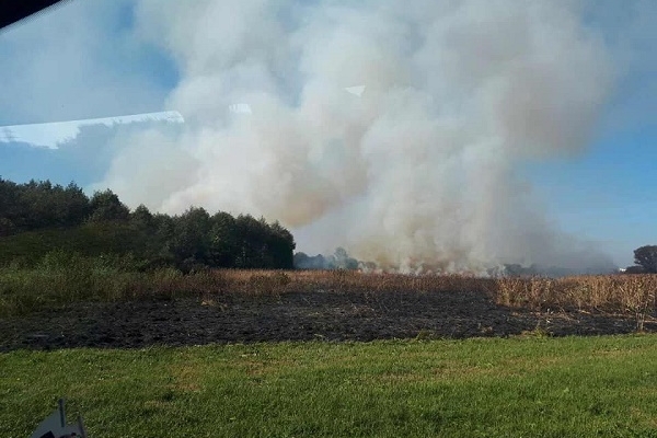 Поблизу Квасилова була пожежа (Фото)