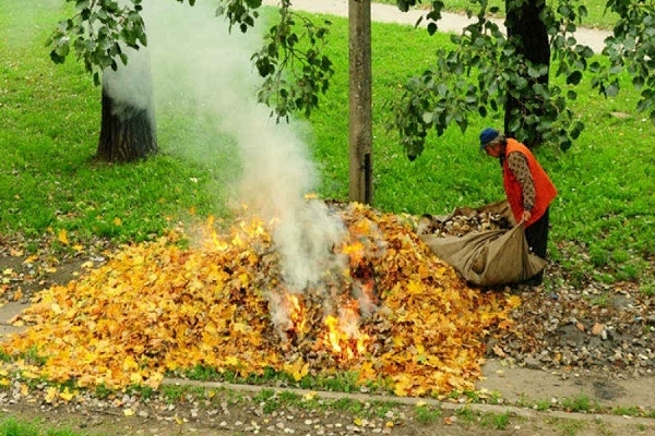За спалювання сміття та опалого листя жителям Рівненщини загрожує штраф