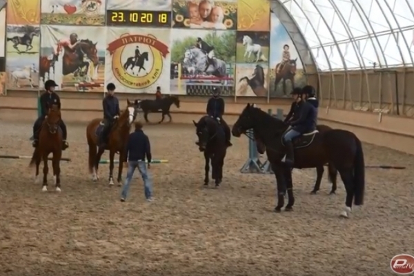 Рівненський центр ПТО ДСЗ розпочинає навчання у галузі конярства (Відео)