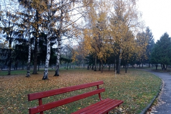 Sinoptik: Погода в Рівному та Рівненській області на четвер, 1 листопада