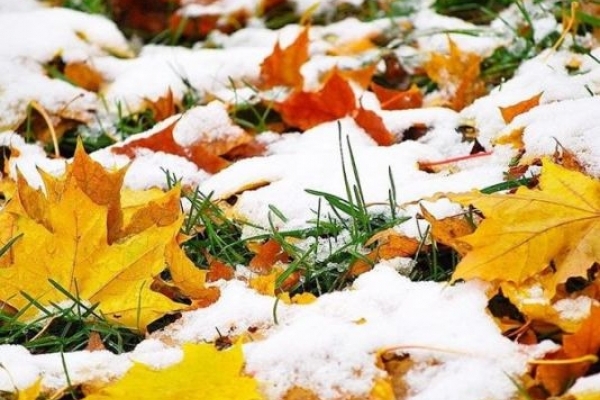 Sinoptik: Погода в Рівному та Рівненській області на п’ятницю, 16 листопада