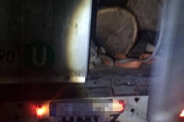 На Рівненщині знову зупинили авто із нелегальною деревиною (Фото)