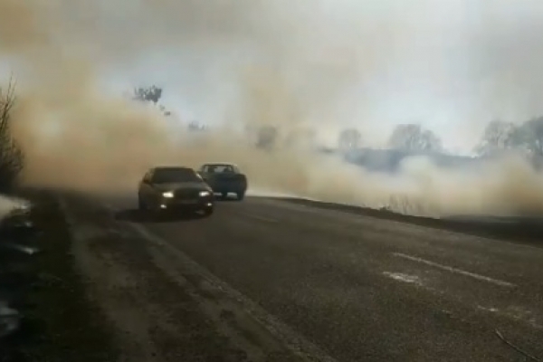 Рівненські рятувальники розповіли про ризики та наслідки спалювання сухої трави (Відео)