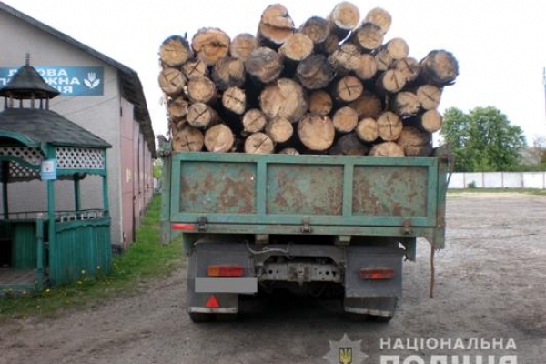 15 кубів незаконної деревини вилучили поліцейські у жителів Рокитнівщини 