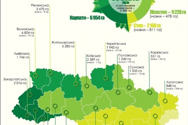 За півроку на Рівненщині відтворили майже 3,5 тисячі гектарів лісу