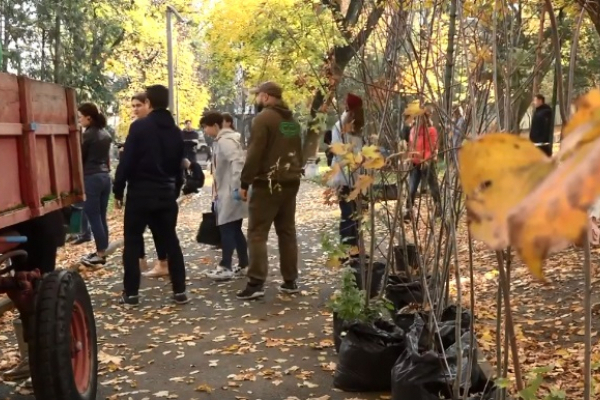 У рівненському парку культури та відпочинку імені Т. Шевченка висадили дерева (Відео)