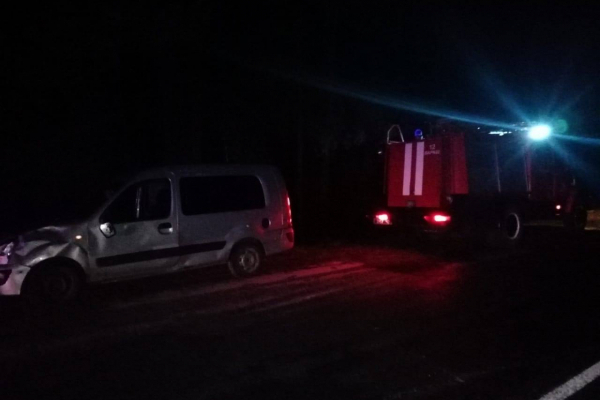 Володимирецькі рятувальники витягли автівку з кювету (Фото)