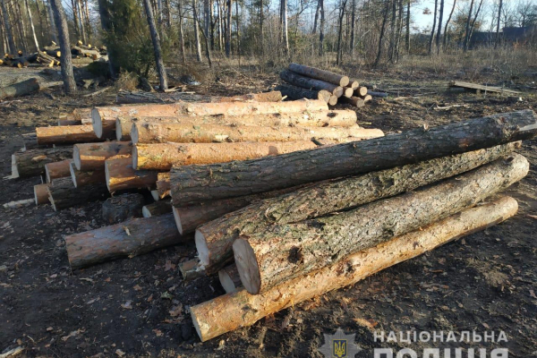 Викрадену деревину з Рівненщини виявили на Волині