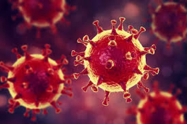 COVID-19 дістався до дітей: на Рівненщині зафіксована перша дитяча смерть від коронавірусу