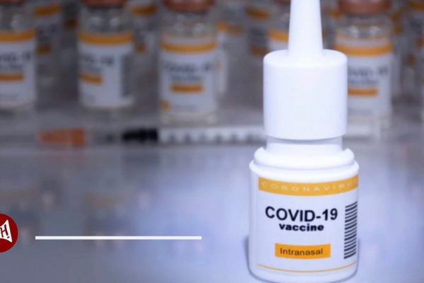Вчені випробовують вакцину проти COVID-19 у вигляді назального спрею