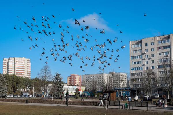 Радіаційний стан навколо Хмельницької АЕС в межах норми