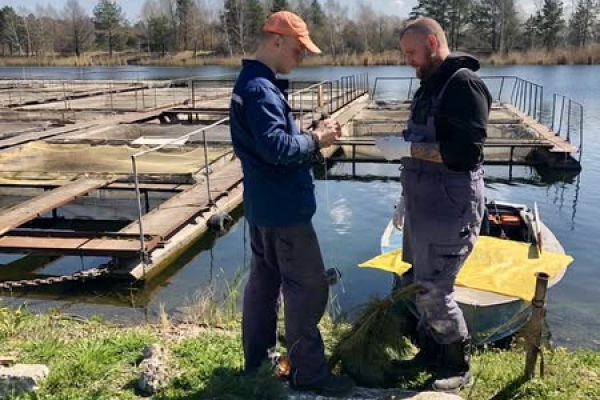 Для збереження біорізноманіття у водоймі-охолоджувачі Хмельницької АЕС встановлено штучні нерестовища