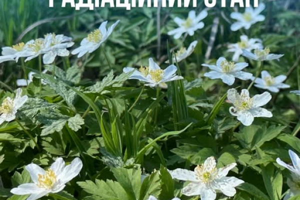 Радіаційний стан навколо Хмельницької АЕС в межах норми
