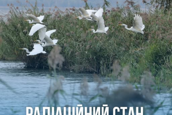 Радіаційний стан навколо Хмельницької АЕС в межах норми