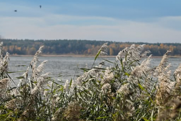 Якість води у водоймі-охолоджувачі Хмельницької АЕС у жовтні залишалася стабільно високою