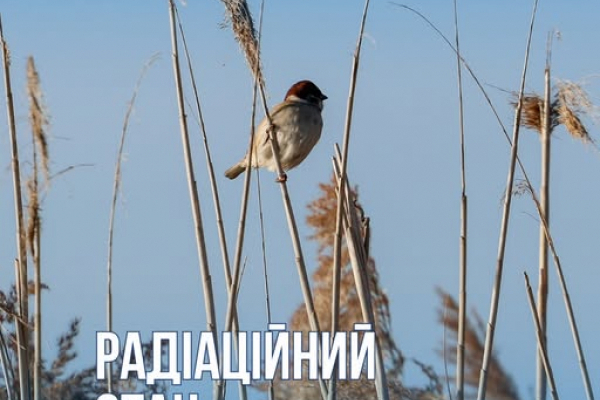 Радіаційний стан навколо Хмельницької АЕС в межах норми