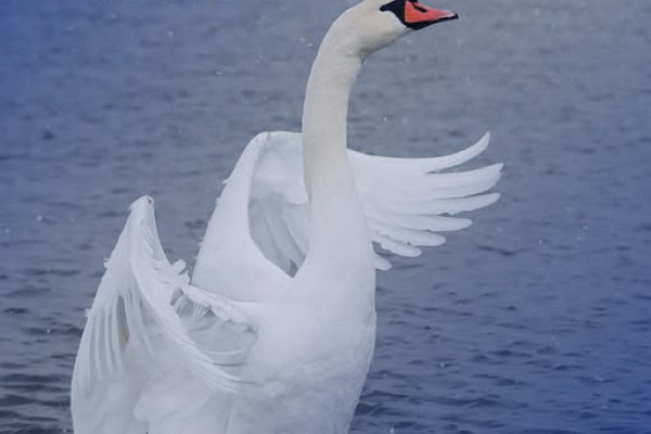 Радіаційний стан навколо Хмельницької АЕС в межах норми