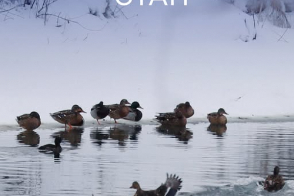 Радіаційний стан навколо Хмельницької АЕС в межах норми