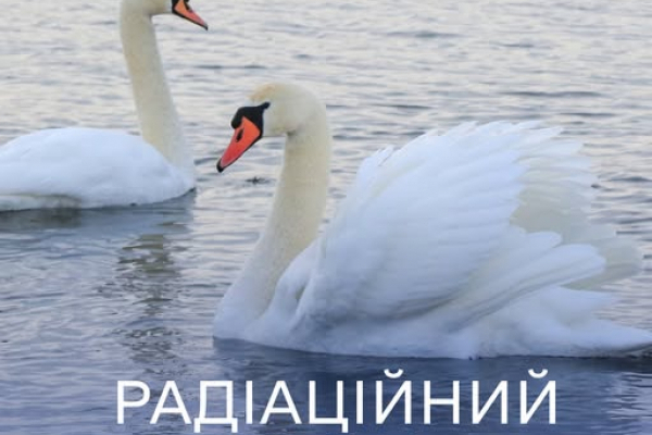 Радіаційний стан навколо Хмельницької АЕС в межах норми