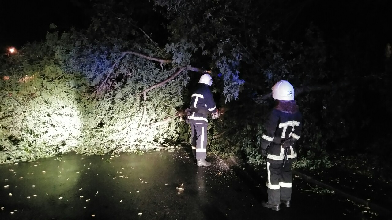 Рівненські рятувальники розчистили дорогу від поваленого дерева