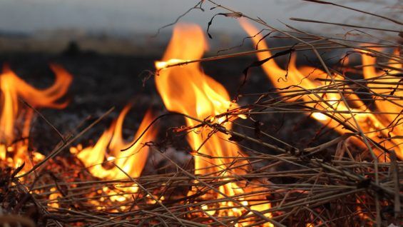 Одинадцять тонн соломи згоріло на Демидівщині