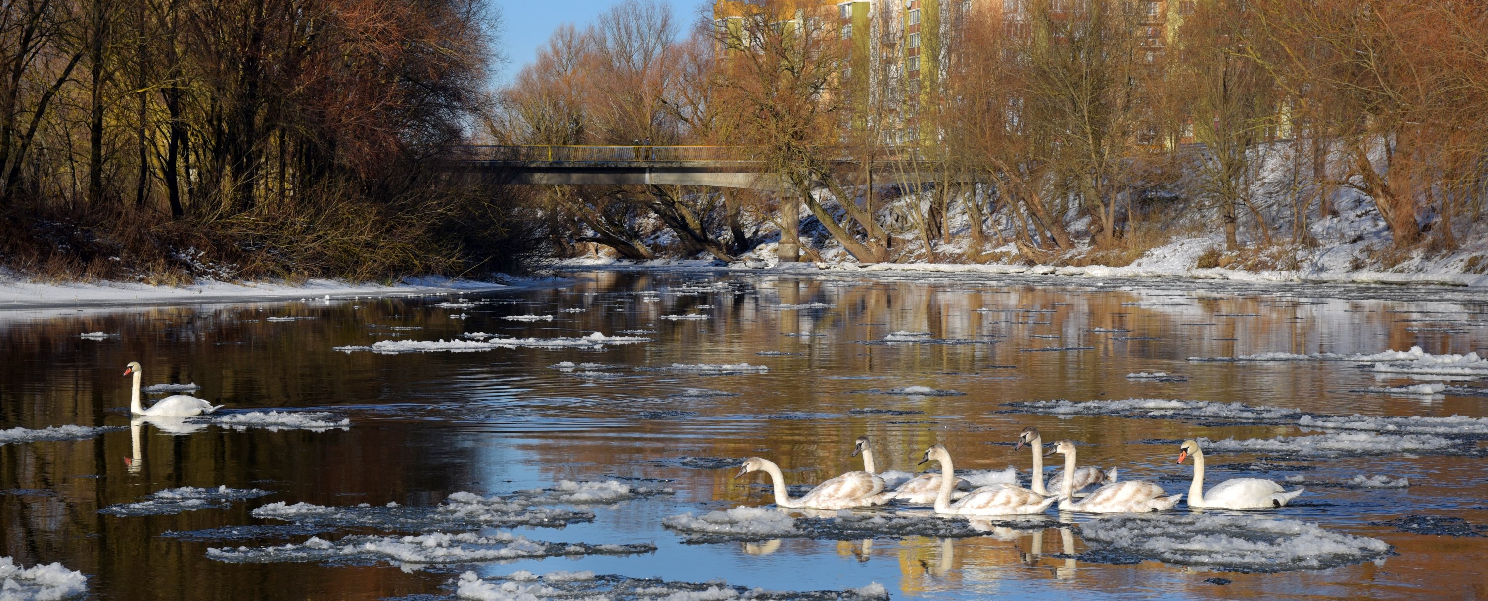 Чи відповідає екологічним нормам річка Стир, що на Рівненщині, перевірили фахівці