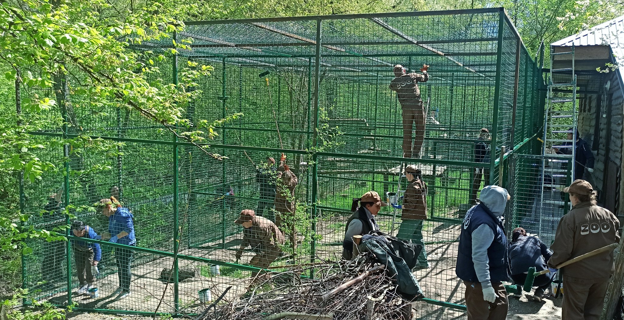 До Рівненського зоопарку переселили чимало тварин із інших областей: для них будують нові вольєри