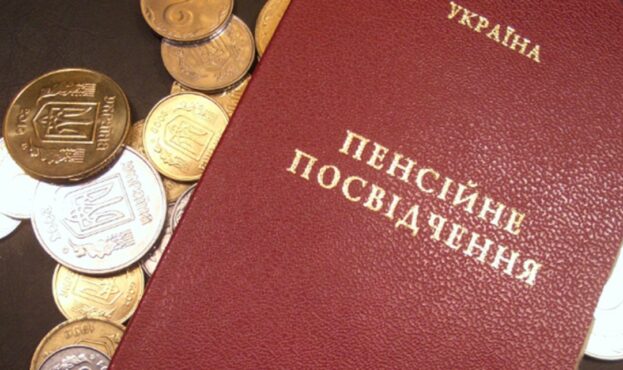 Не найкращий час для пенсійної реформи, - Михайло Цимбалюк, «Батьківщина»